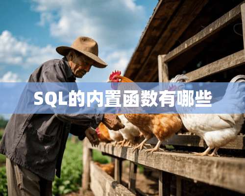 SQL的内置函数有哪些