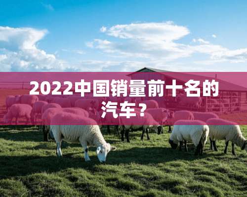 2022中国销量前十名的汽车？