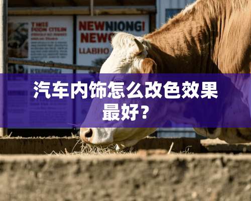 汽车内饰怎么改色效果最好？