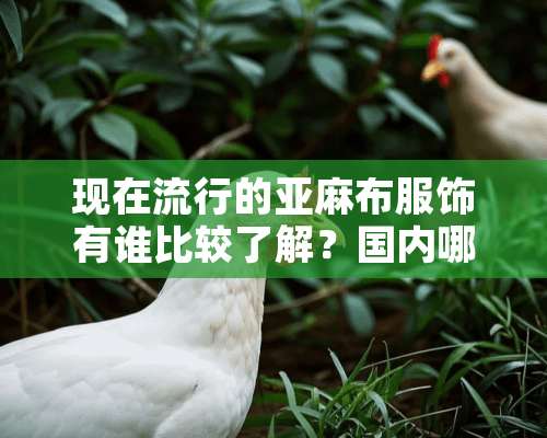 现在流行的亚麻布服饰有谁比较了解？国内哪个品牌的亚麻面料质量高？