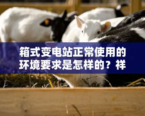 箱式变电站正常使用的环境要求是怎样的？祥泰电气