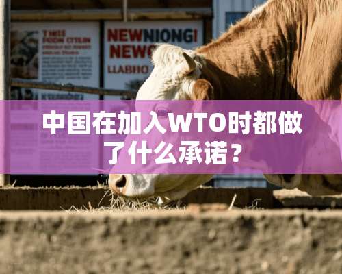 中国在加入WTO时都做了什么承诺？