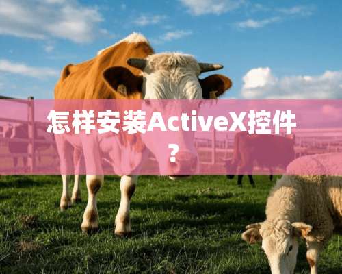 怎样安装ActiveX控件？