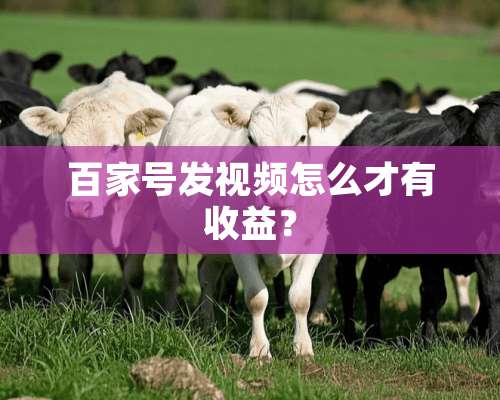 百家号发视频怎么才有收益？