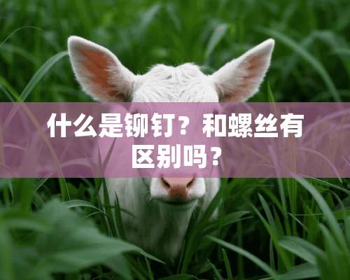 什么是铆钉？和螺丝有区别吗？