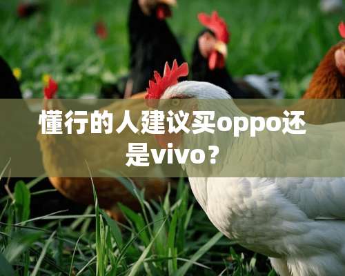 懂行的人建议买oppo还是vivo？