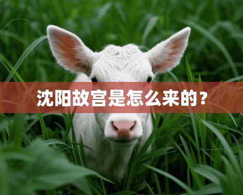 沈阳故宫是怎么来的？