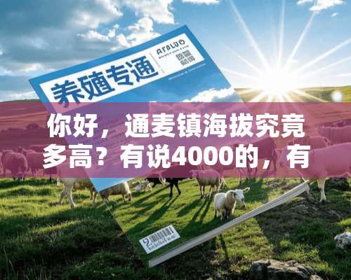 你好，通麦镇海拔究竟多高？有说4000的，有说1800的？