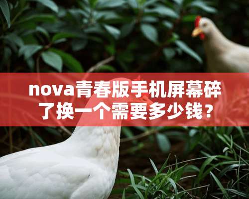 nova青春版手机屏幕碎了换一个需要多少钱？