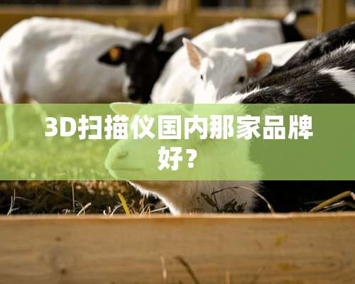 3D扫描仪国内那家品牌好？