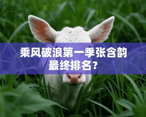 乘风破浪第一季张含韵最终排名？