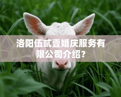 洛阳伍贰壹婚庆服务有限公司介绍？