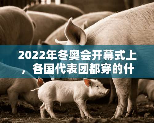 2022年冬奥会开幕式上，各国代表团都穿的什么品牌的羽绒服？