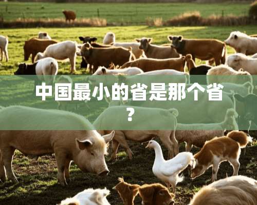 中国最小的省是那个省？