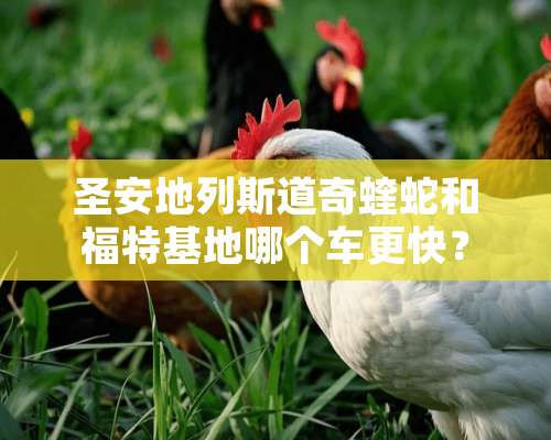 圣安地列斯道奇蝰蛇和福特基地哪个车更快？