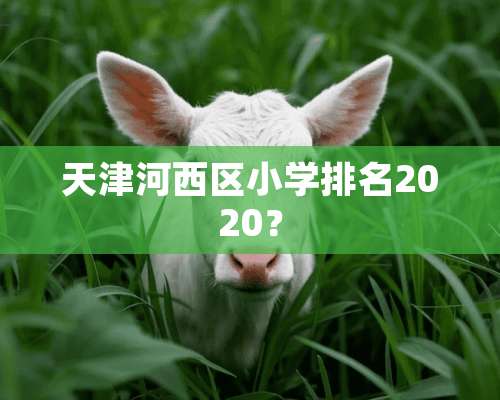 天津河西区小学排名2020？