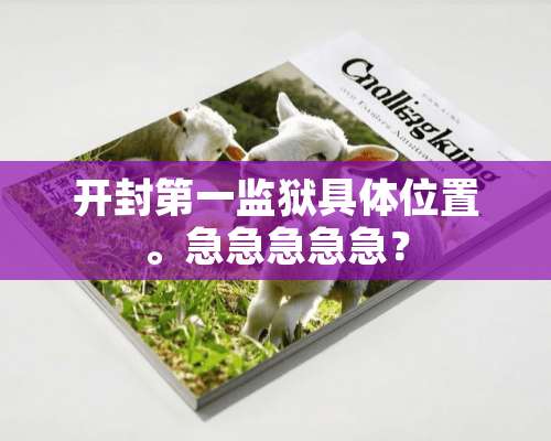 开封第一监狱具**置。急急急急急？