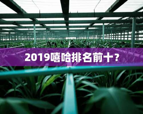 2019嘻哈排名前十？