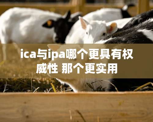 ica与ipa哪个更具有权威性 那个更实用