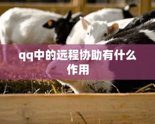 qq中的远程协助有什么作用