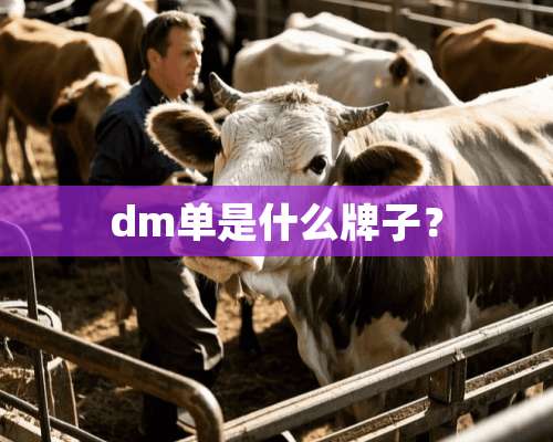 dm单是什么牌子？