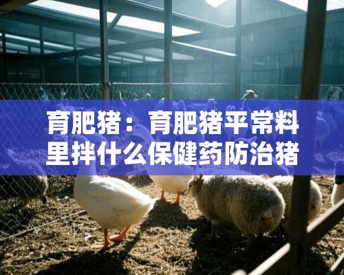 育肥猪：育肥猪平常料里拌什么保健药防治猪病