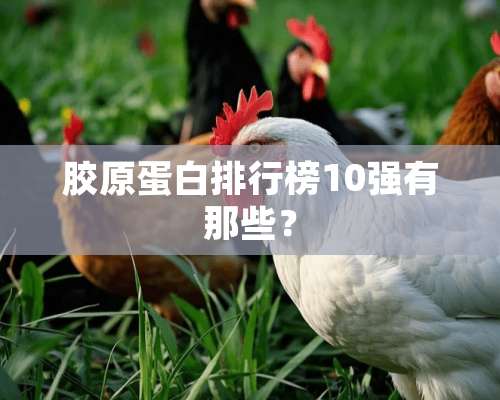 胶原蛋白排行榜10强有那些？