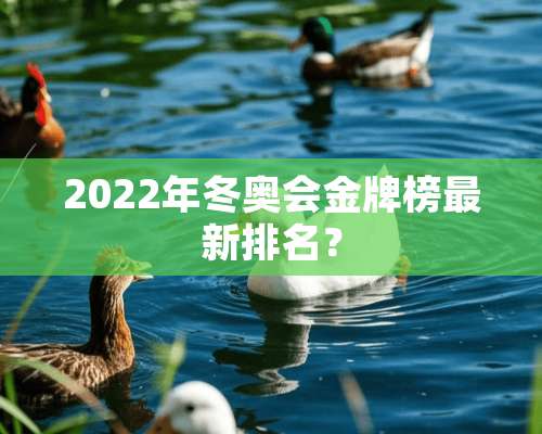 2022年冬奥会金牌榜最新排名？