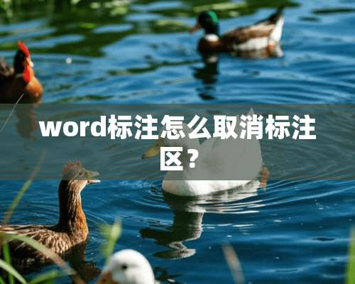 word标注怎么取消标注区？