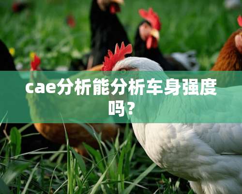 cae分析能分析车身强度吗？