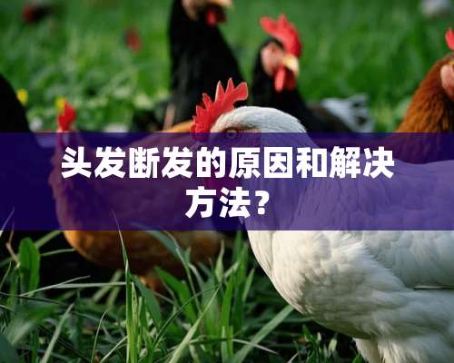 头发断发的原因和解决方法？