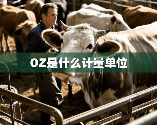 OZ是什么计量单位