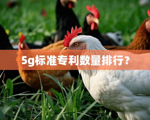 5g标准专利数量排行？