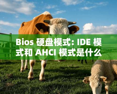 Bios 硬盘模式: IDE 模式和 AHCI 模式是什么意思啊？