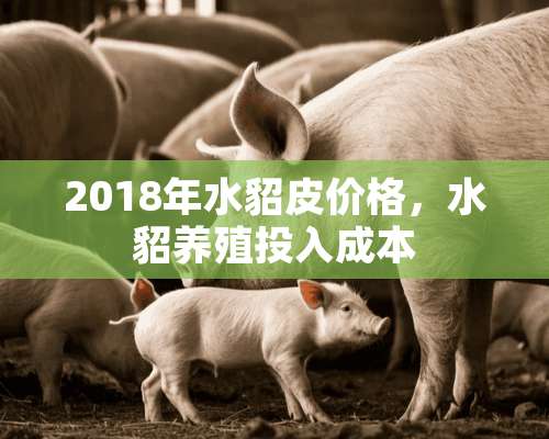 2018年水貂皮价格，水貂养殖投入成本