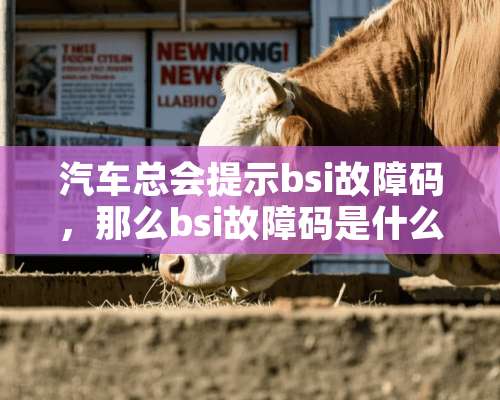 汽车总会提示bsi故障码，那么bsi故障码是什么意思？