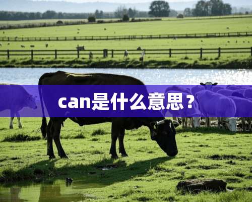 can是什么意思？