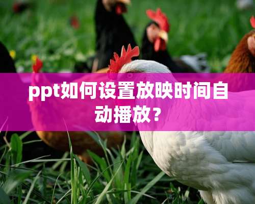 ppt如何设置放映时间自动播放？