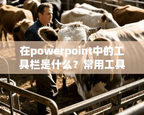 在powerpoint中的工具栏是什么？常用工具栏有哪些？如何打开和关闭？