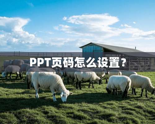 PPT页码怎么设置？