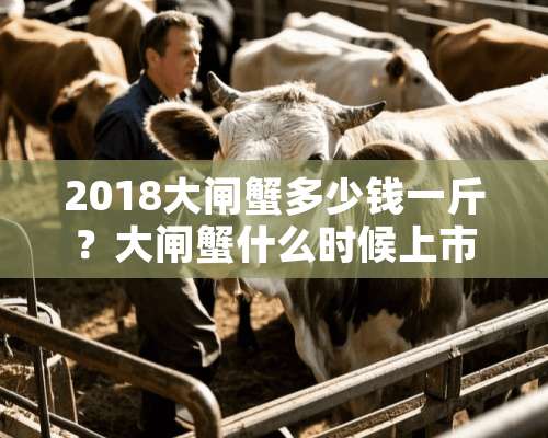 2018大闸蟹多少钱一斤？大闸蟹什么时候上市？怎么挑选？