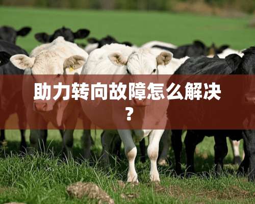 助力转向故障怎么解决？