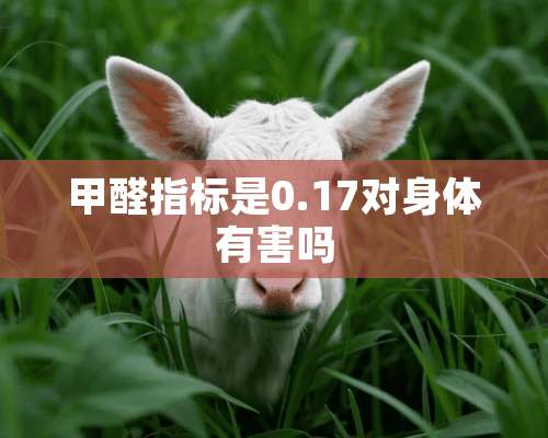 甲醛指标是0.17对身体有害吗