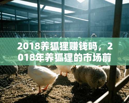 2018养狐狸赚钱吗，2018年养狐狸的市场前景