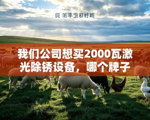 我们公司想买2000瓦激光除锈设备，哪个牌子的比较好呢？