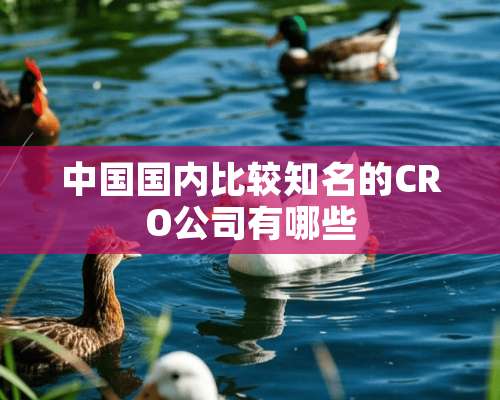 中国国内比较知名的CRO公司有哪些