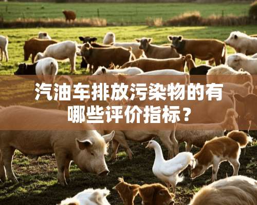 汽油车排放污染物的有哪些评价指标？