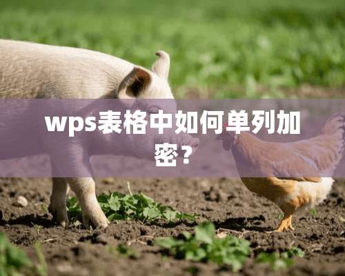 wps表格中如何单列加密？