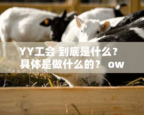 YY工会 到底是什么？ 具体是做什么的？ ow又是什么？