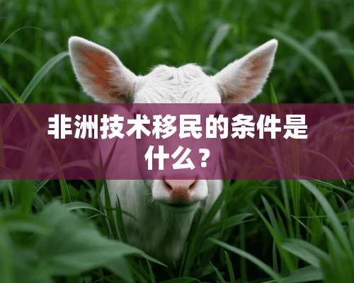 非洲技术移民的条件是什么？